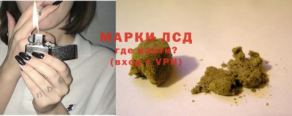PSILOCYBIN Алзамай
