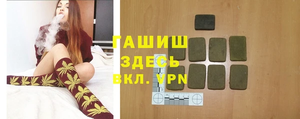 PSILOCYBIN Алзамай