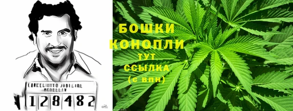 PSILOCYBIN Алзамай